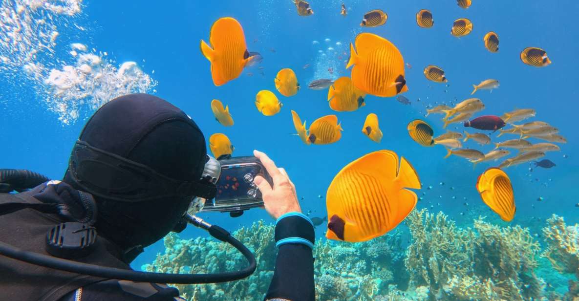 Diving in Hurghada