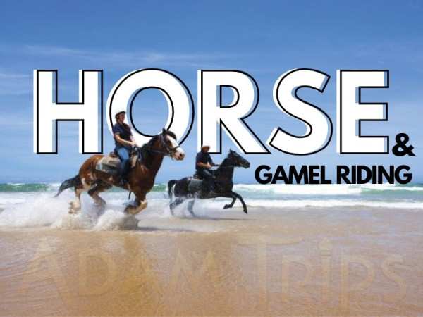 Horse & Gamel Riding