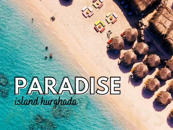 PARADISE ISLAND